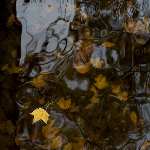 Photo #14147154