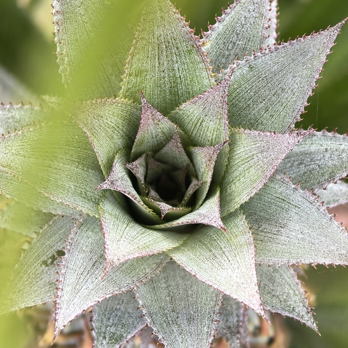 Perfect Symmetry
