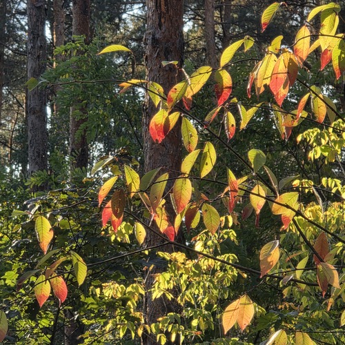 Photo #14147357