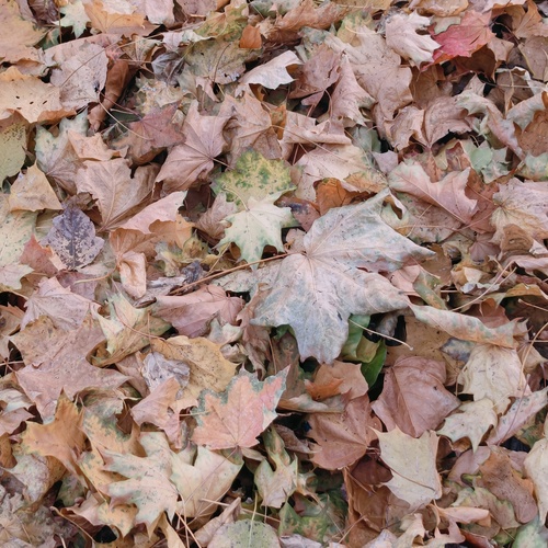 Photo #14147458