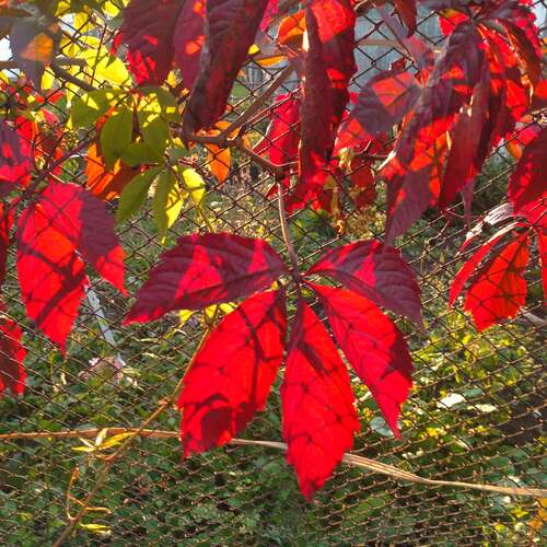 Photo #14147580
