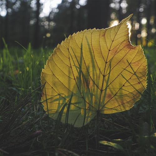 Photo #14147620