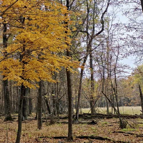 Photo #14147632