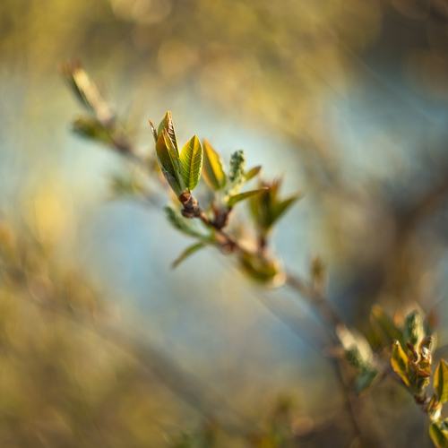 Photo #14147633