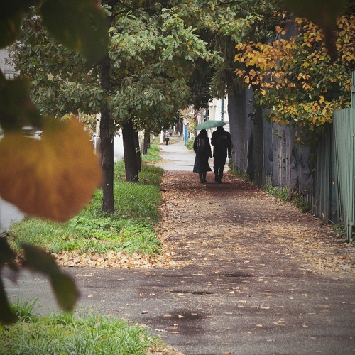 Photo #14147672