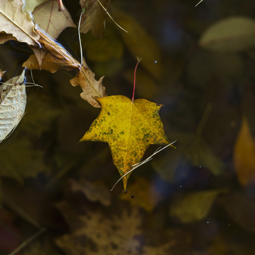 Photo #14147826