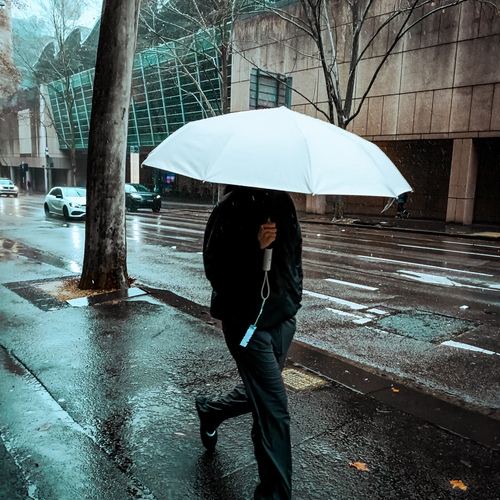 Photo #14147839