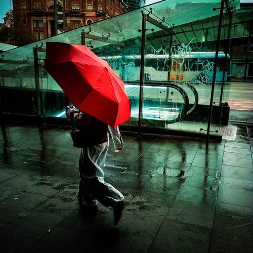 Photo #14147845