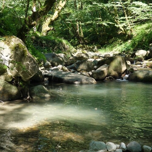 Photo #14147891