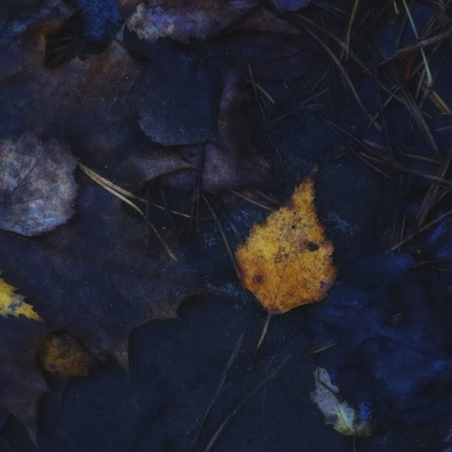 Photo #14147945
