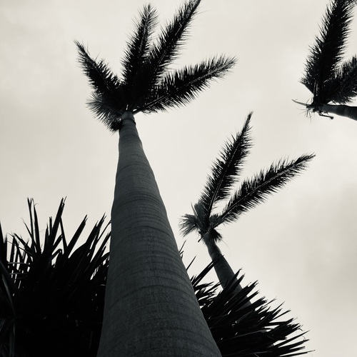 Photo #14148017
