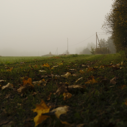 Photo #14148021