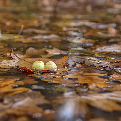 Photo #14148023