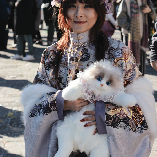 Photo #14148056