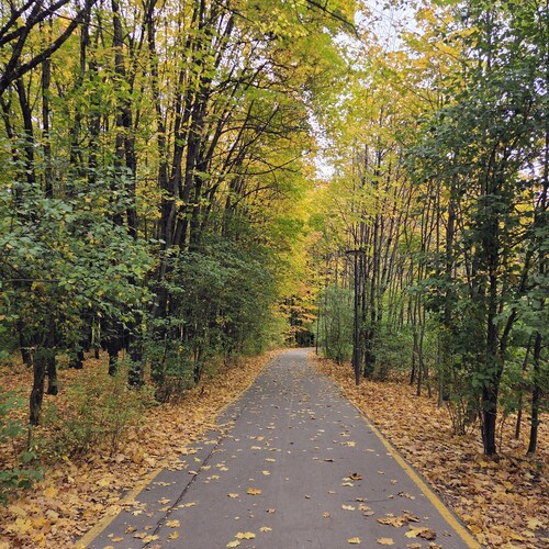 Photo #14148103