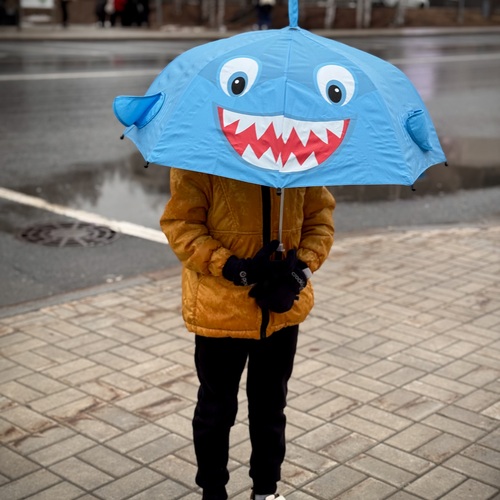 Photo #14148230