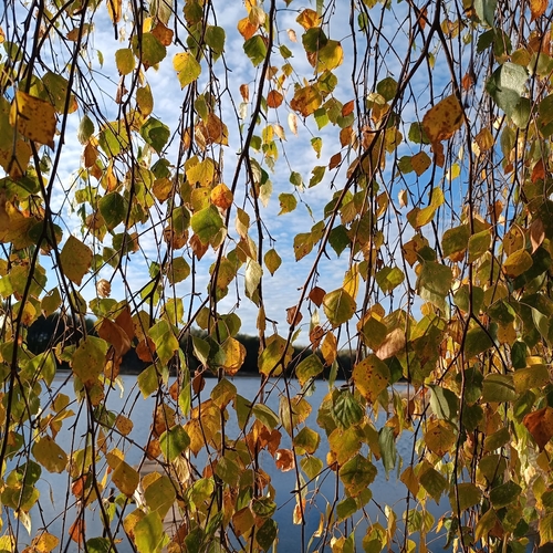 Photo #14148269