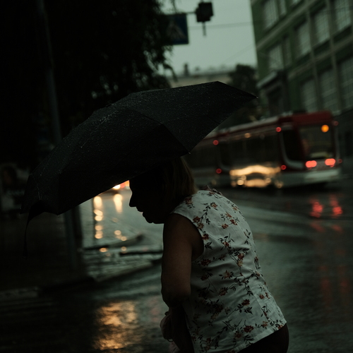 Photo #14148314