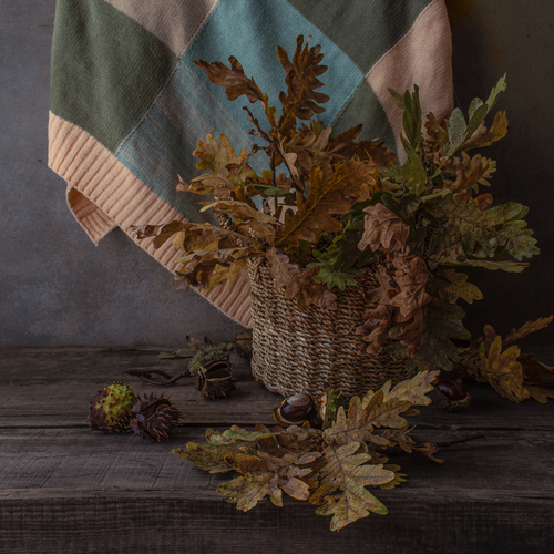 Photo #14148350