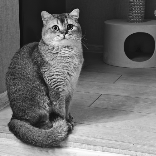 Photo #14148422