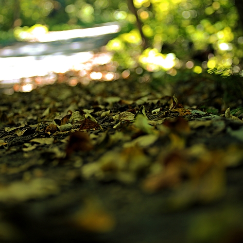 Photo #14148480