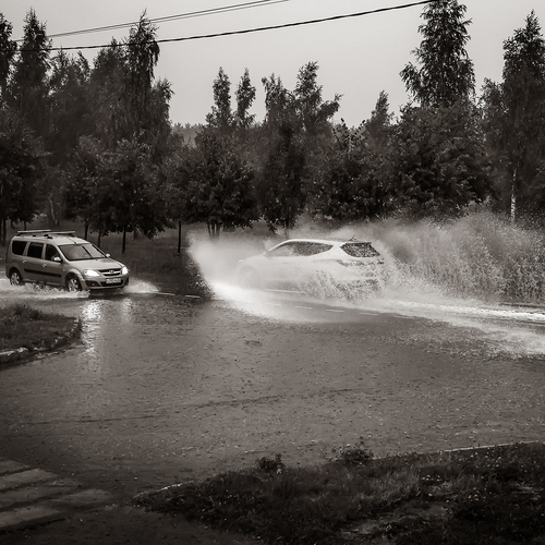 Photo #14148488