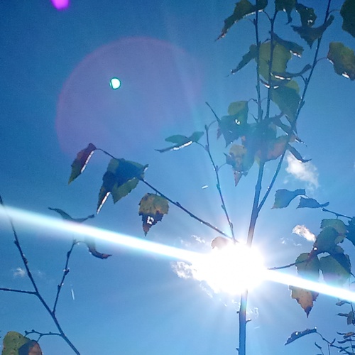 Photo #14148568