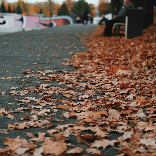 Photo #14148627