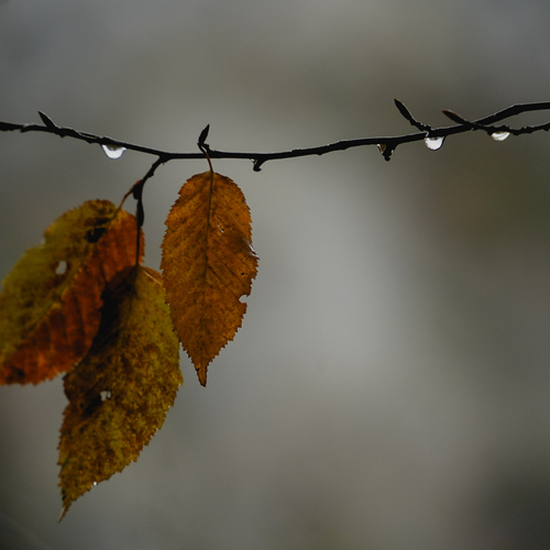 Photo #14148672