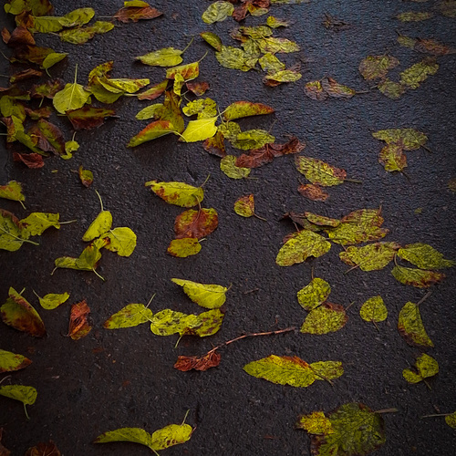 Photo #14148673