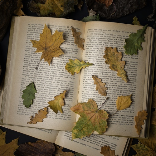 Photo #14148699