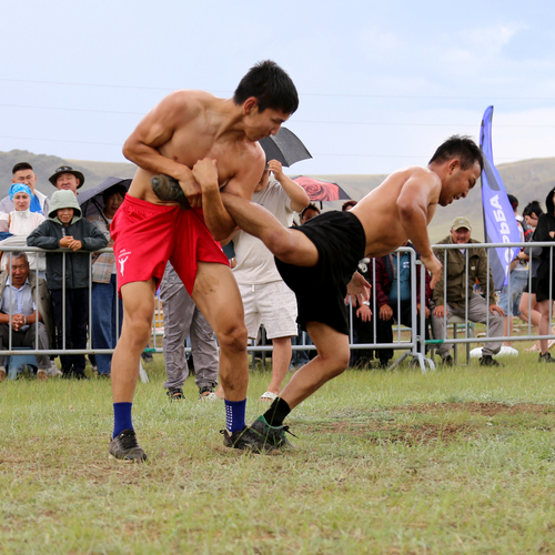 Photo #14148730