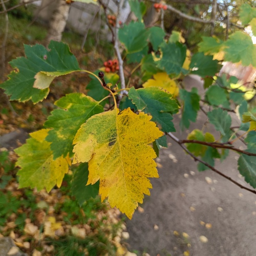Photo #14148756