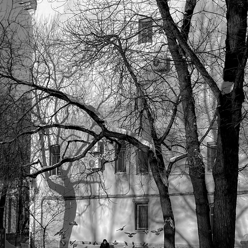 Photo #14148788