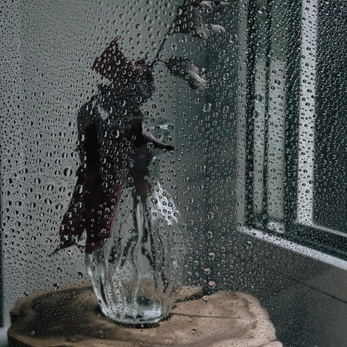 Photo #14148845