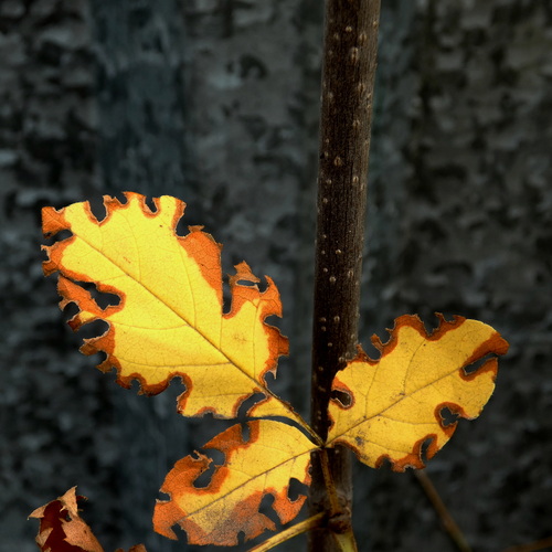 Photo #14148908