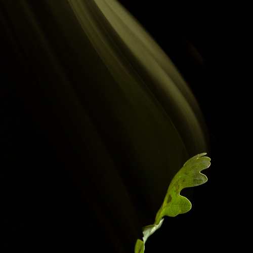 Photo #14148923