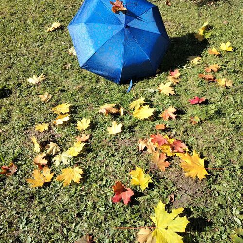 Photo #14148929