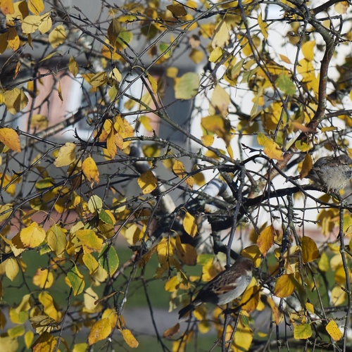 Photo #14148969