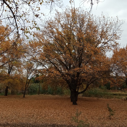 Photo #14148983