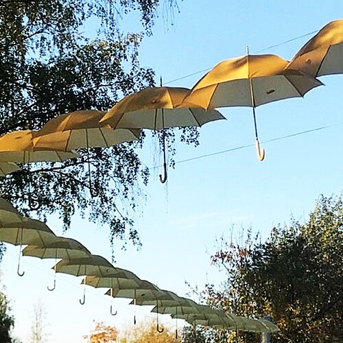 Photo #14149000