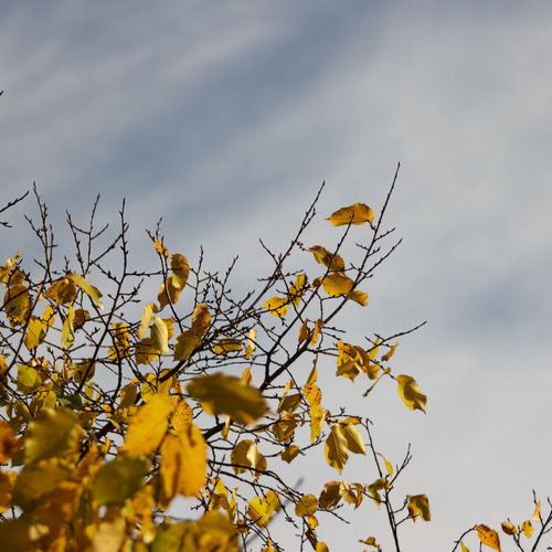 Photo #14149124