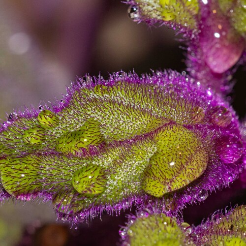 Photo #14149128