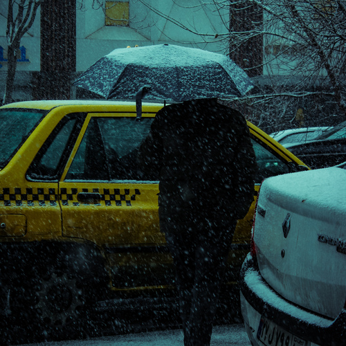 Photo #14149135