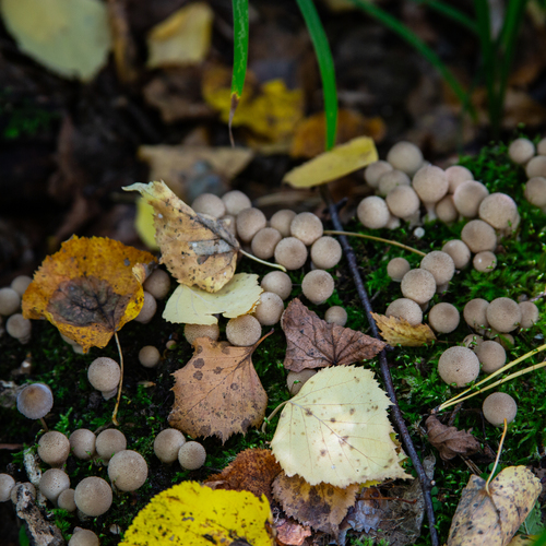 Photo #14149185