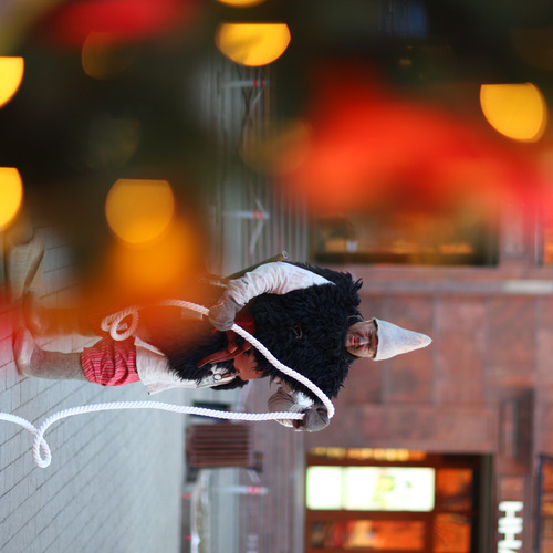 Photo #14149309