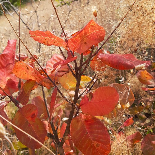 Photo #14149341