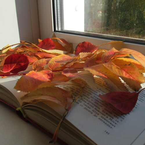 Photo #14149381
