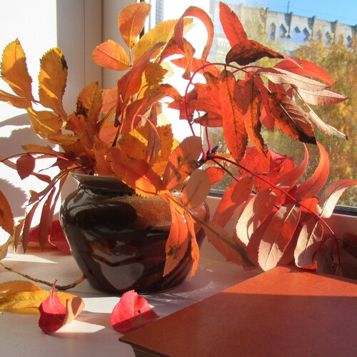 Photo #14149382