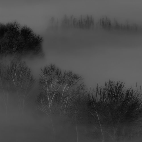 Photo #14149408